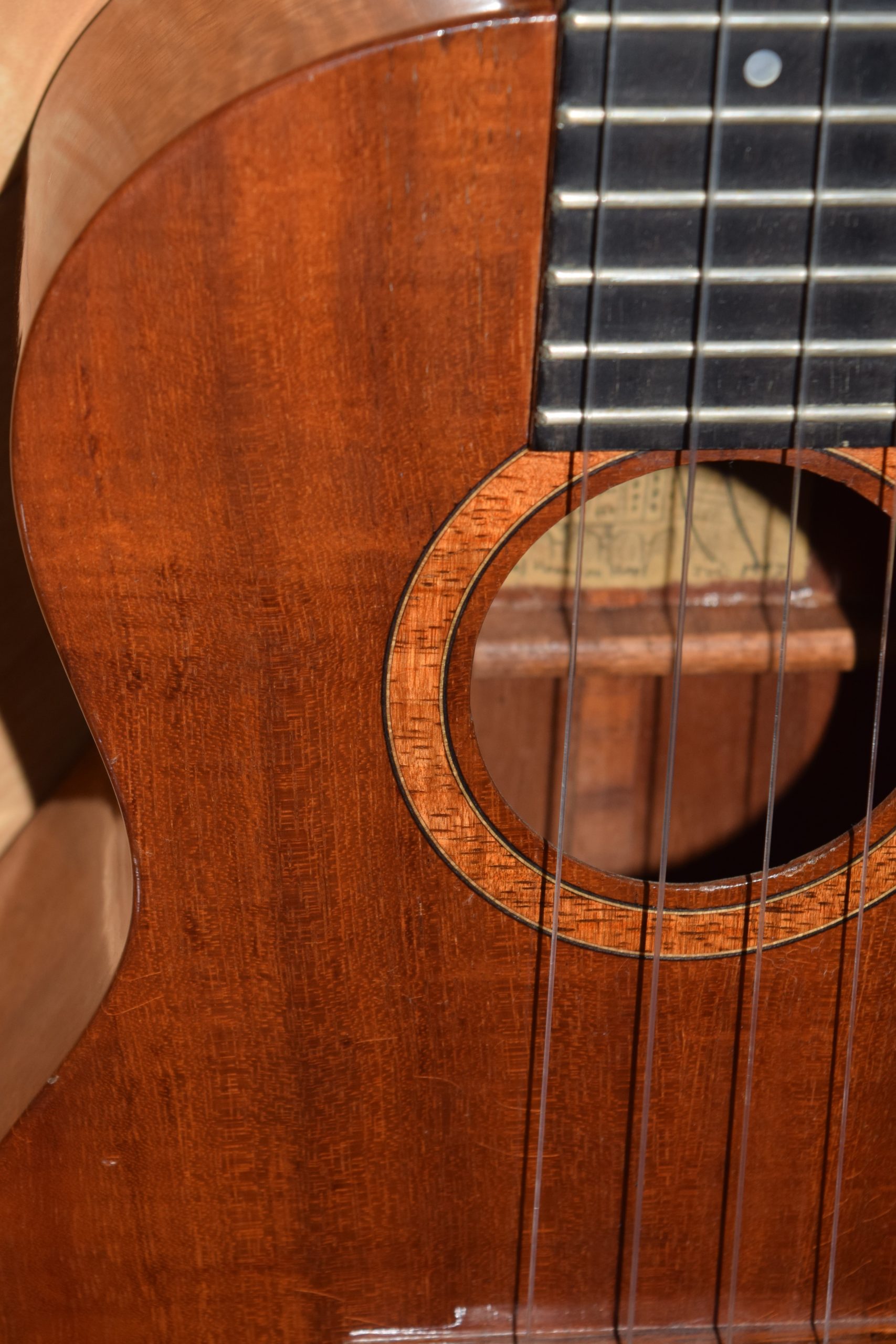 SHIMO ukulele