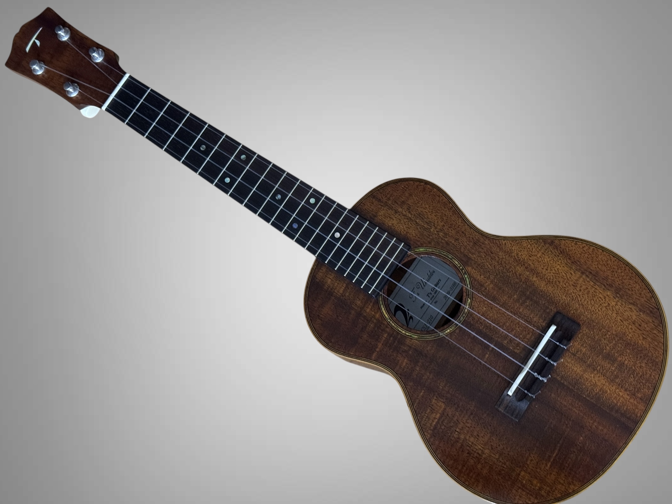 T's Ukuleles