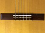 2008 Fukuoka Guitars