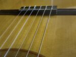 2008 Fukuoka Guitars