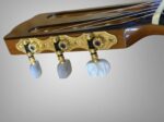 2008 Fukuoka Guitars