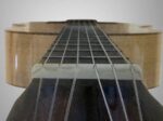 2008 Fukuoka Guitars