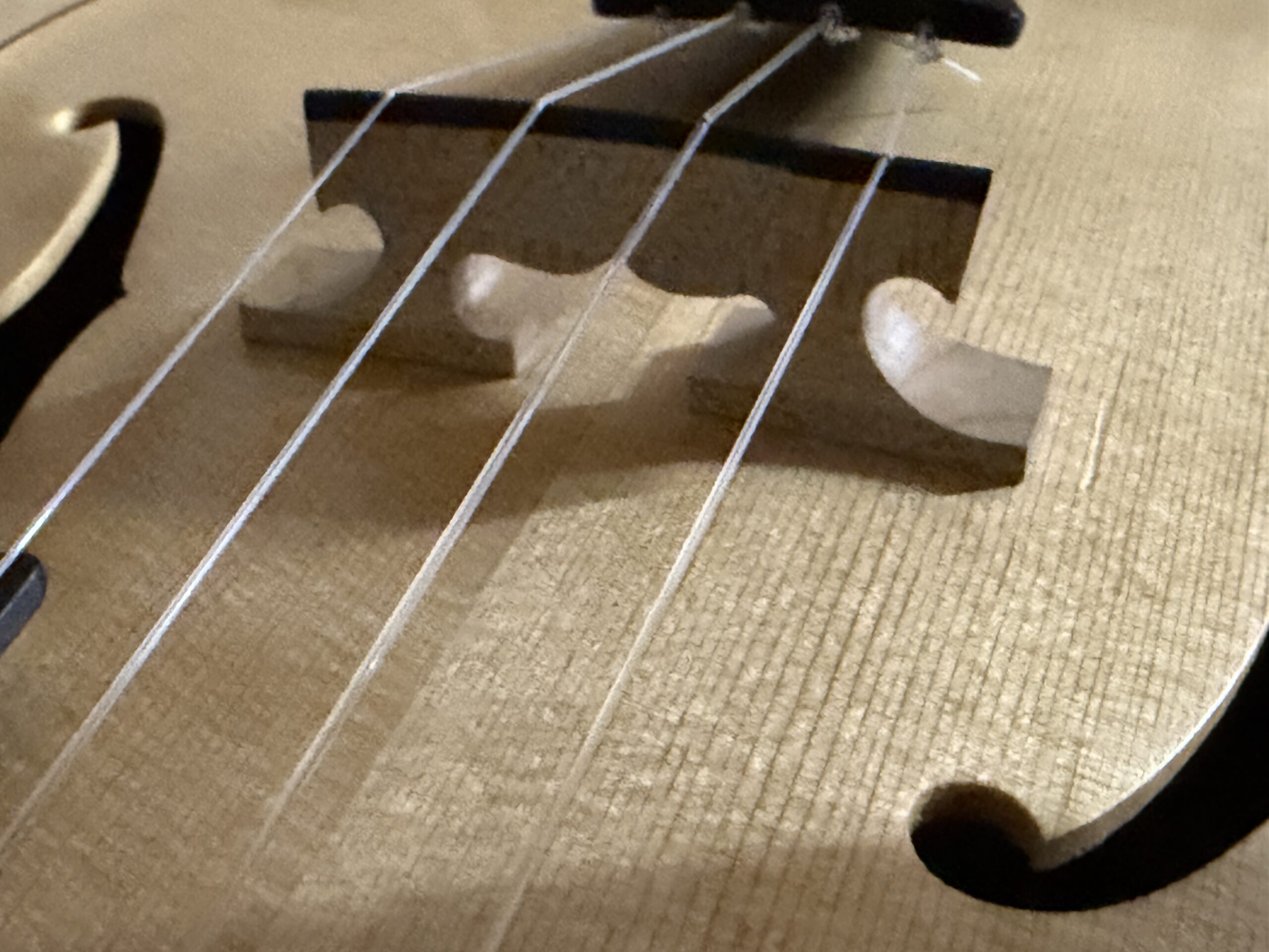 2024 da h(ダアッカ)ukulele tenor 15f archtop