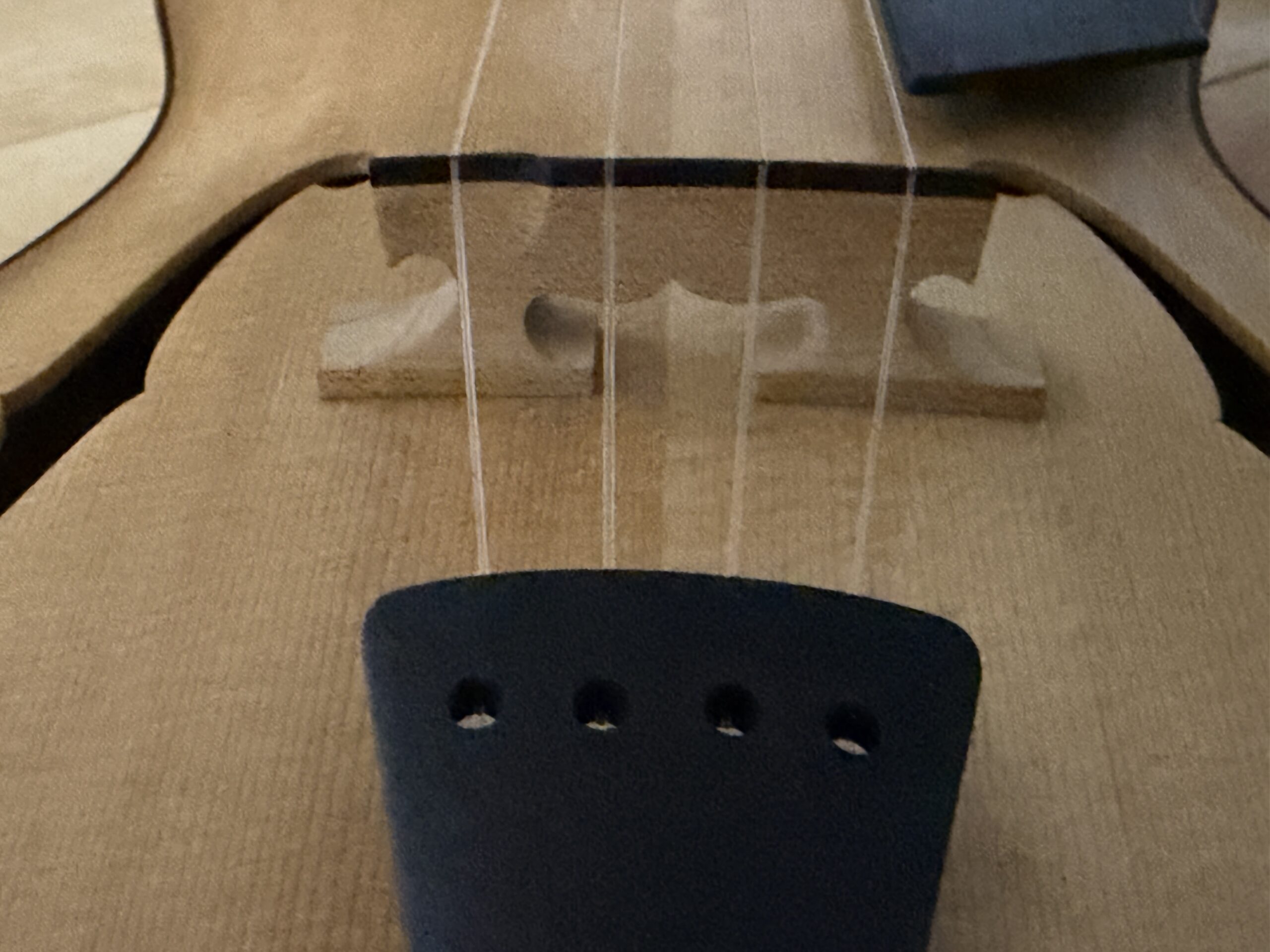 2024 da h(ダアッカ)ukulele tenor 15f archtop