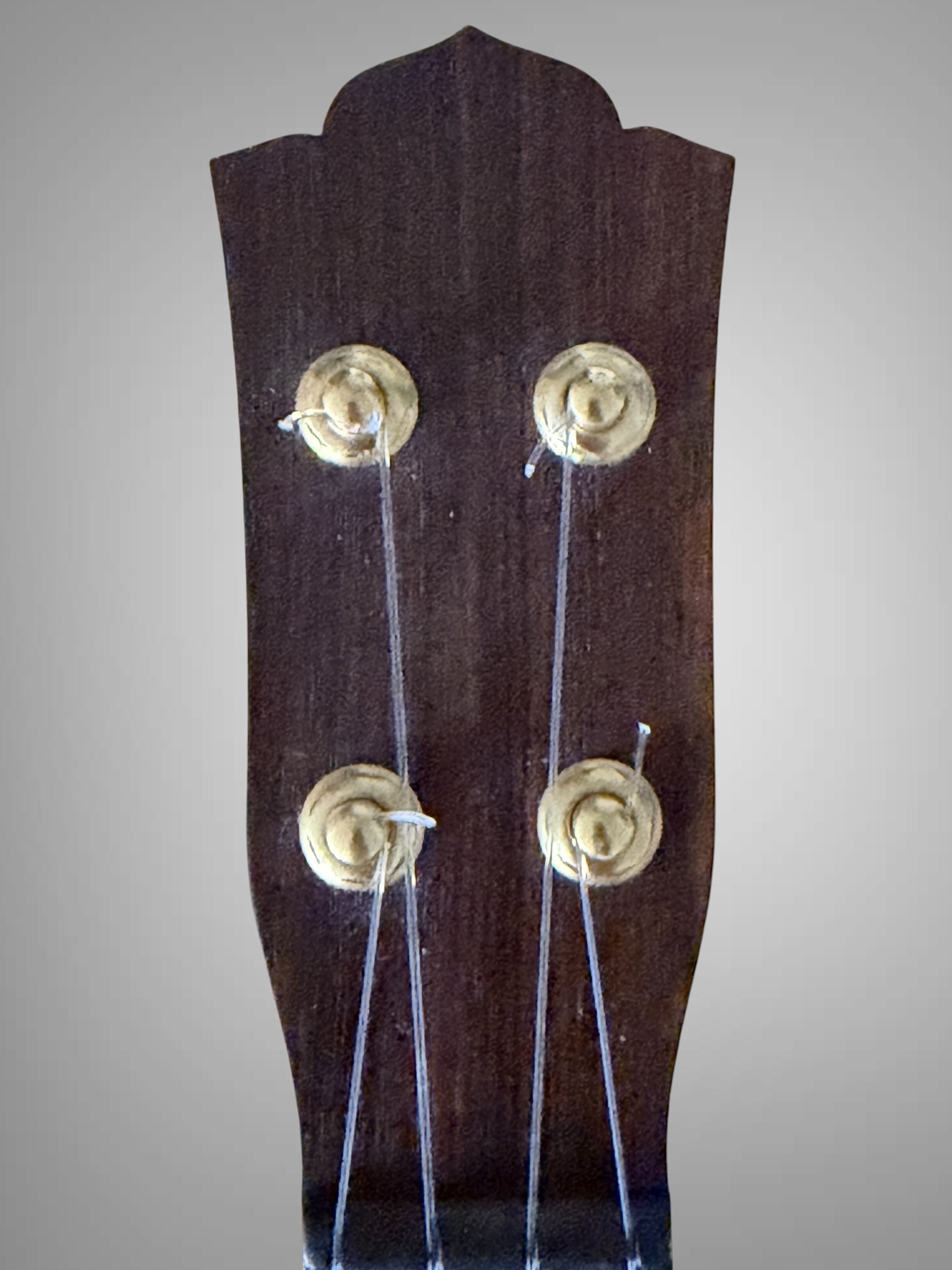 2024 da h(ダアッカ)ukulele tenor 15f archtop