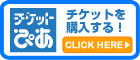 ダルコ・バゲスキ ギターリサイ タル